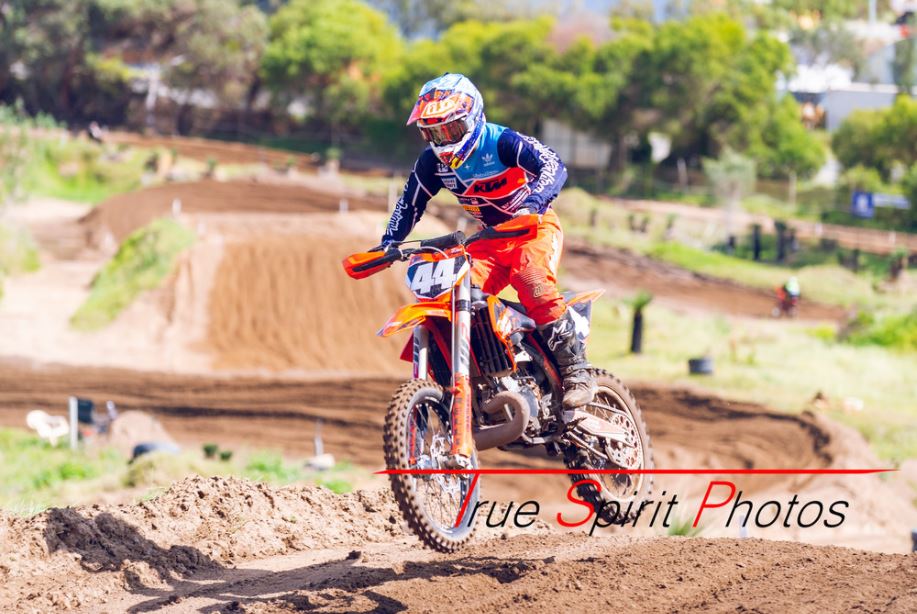 Click Image to goto Weblink