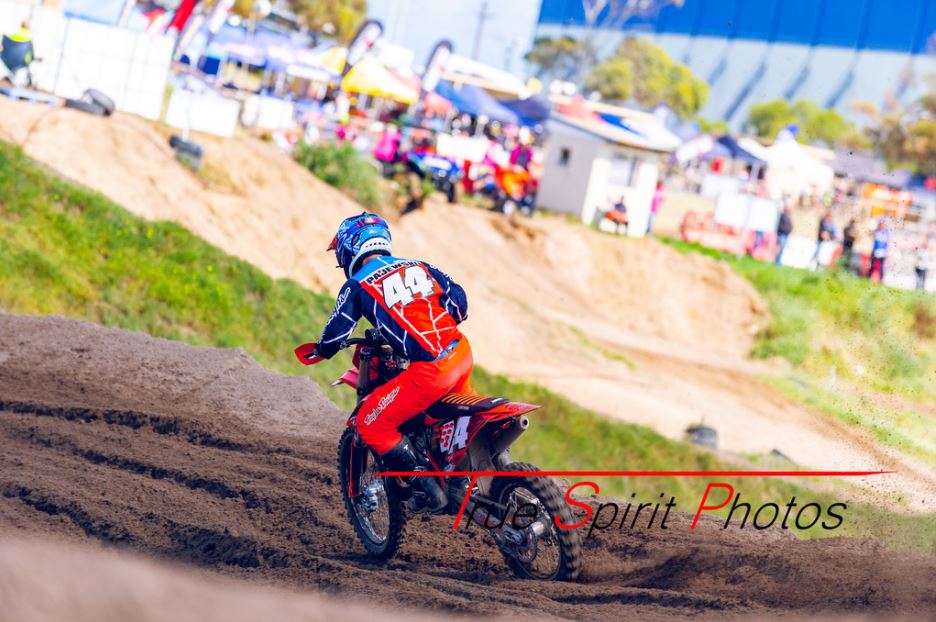 Click Image to goto Weblink