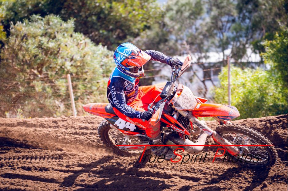 Click Image to goto Weblink