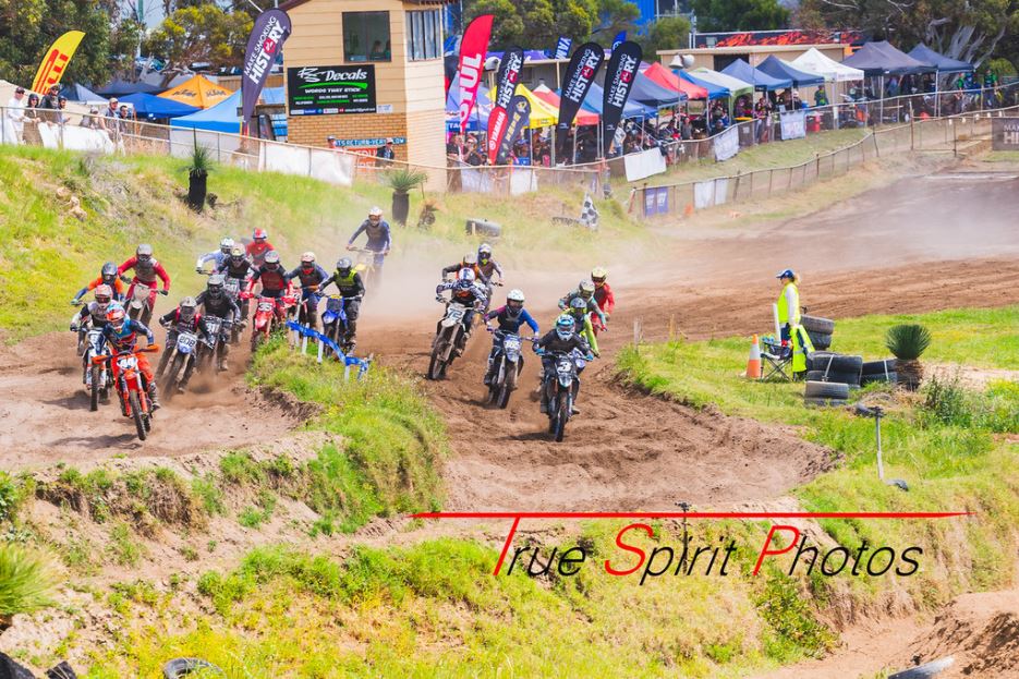 Click Image to goto Weblink