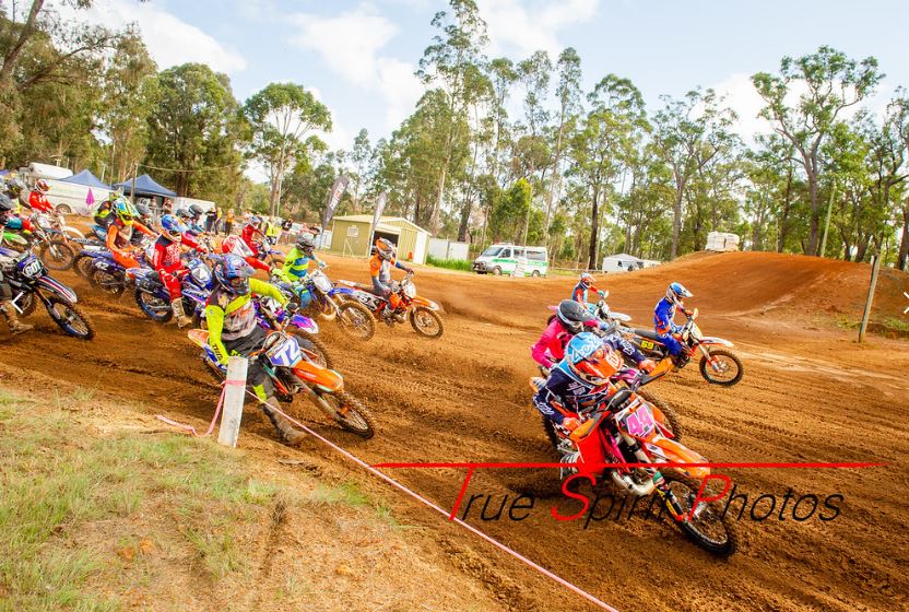 Click Image to goto Weblink